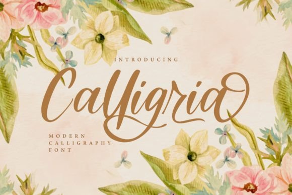 Calligria: Elegant Script Font for Web Design