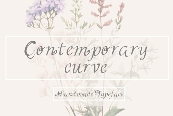 Contemporary Curve Font Review
