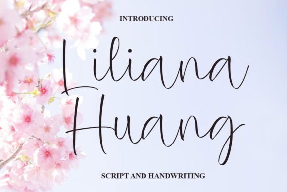 Liliana Huang Font for Editorial Design